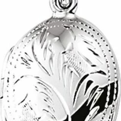 Flash-uitverkoop 💯 Glams Medaillon Gravure - Zilver 😀