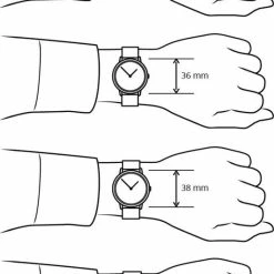 Hete verkoop ⭐ Boccia Titanium 3175.03 Dames Horloge 29 Mm ✨ 18 Hete verkoop ⭐ Boccia Titanium 3175.03 Dames Horloge 29 Mm ✨ -Sieraden-horloges Winkel 531x840