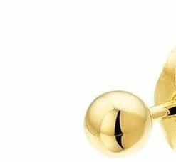 Kopen 🛒 Marie-Celeste Oorknoppen Bol - Goud ⌛