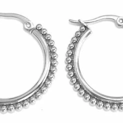 Promo 🎁 Dielay - Oorbellen Met Balletjes - RVS Oorringen - Ø 2,7 Cm - Zilverkleurig 😉