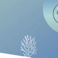 Uitgang βοΈ Akyol Evileye – Evil – Eye – Blauwe Evileye – Ketting – Unisex - Goudkleurig – Geluk – Bescherming – Diepe Blauw - Boze Oog Ketting - Turkse Oog - Nazar Boncuk - Cadeau Ketting - Cadeau Voor Vriendin - Best Friends Armband -blauwe Oog Ketting π 7 Uitgang βοΈ Akyol Evileye – Evil – Eye – Blauwe Evileye – Ketting – Unisex - Goudkleurig – Geluk – Bescherming – Diepe Blauw - Boze Oog Ketting - Turkse Oog - Nazar Boncuk - Cadeau Ketting - Cadeau Voor Vriendin - Best Friends Armband -blauwe Oog Ketting π -Sieraden-horloges Winkel 550x309 10