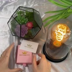 Uitgang π Victorious Dames Ketting – Zirkonia & Bergkristallen – Zilver/Rood – 45cm π 9 Uitgang π Victorious Dames Ketting – Zirkonia & Bergkristallen – Zilver/Rood – 45cm π -Sieraden-horloges Winkel 550x309 19