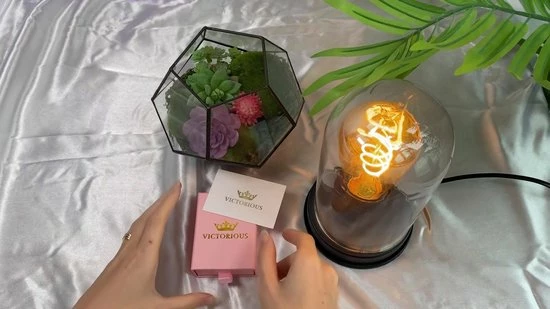 Top 10 β€οΈ Victorious Dames Oorbellen Roségoud – Dubbele Ring Met Lijnen – 2CM π 4 Top 10 β€οΈ Victorious Dames Oorbellen Roségoud – Dubbele Ring Met Lijnen – 2CM π - Afbeelding 2