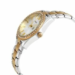 Promo 🔔 Fossil Scarlette Mini ES4319 Dameshorloge 32 Mm - Zilverkleurig 👍 -Sieraden-horloges Winkel 550x550 1181