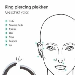 Uitgang 🥰 MATTISE Zilveren Chirurgisch Stalen Ring Piercing — Zilver Kleurige — 6 Mm Diameter & 1,0 Mm Staafdikte — Oorbellen Ringetje Geschikt Voor Helix Tragus Septum Lip Neus Wenkbrauw Piercings ✨ -Sieraden-horloges Winkel 550x550 1214