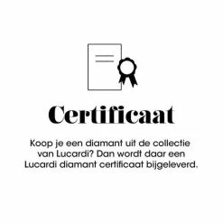 Beste recensies van 😉 Lucardi - Dames Ring Met 12 Diamanten 0,015ct Slag. - Ring - Cadeau - 14 Karaat Goud - Geelgoud 🎁 -Sieraden-horloges Winkel 550x550 1238