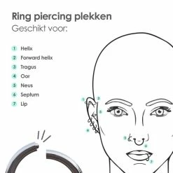 Uitgang 🤩 MATTISE Zilveren Chirurgisch Stalen Ring Piercing — Zilver Kleurige — 12 Mm Diameter & 1,2 Mm Staafdikte — Oorbellen Ringetje Geschikt Voor Helix Tragus Septum Lip Neus Wenkbrauw Piercings ✔️ -Sieraden-horloges Winkel 550x550 191