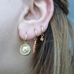 Promo π Jewelryz Ooorringen RVS - Oorbellen Goldplated Vrouwen - Munt - Stainless Steel - Bloem - Damescadeau- Verkleurt Niet- Huidvriendelijk- Waterbestendig π₯° 8 Promo π Jewelryz Ooorringen RVS - Oorbellen Goldplated Vrouwen - Munt - Stainless Steel - Bloem - Damescadeau- Verkleurt Niet- Huidvriendelijk- Waterbestendig π₯° -Sieraden-horloges Winkel 550x550 51