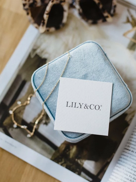 Uitgang 🎉 Lily & Co® Lily&Co® Luxe Sieradendoosje Voor Op Reis - Compacte Sieraden Box - Cadeau Voor Haar - 10x10x5cm - Dusty Blue 🤩 9 Uitgang 🎉 Lily & Co® Lily&Co® Luxe Sieradendoosje Voor Op Reis - Compacte Sieraden Box - Cadeau Voor Haar - 10x10x5cm - Dusty Blue 🤩 - Afbeelding 7